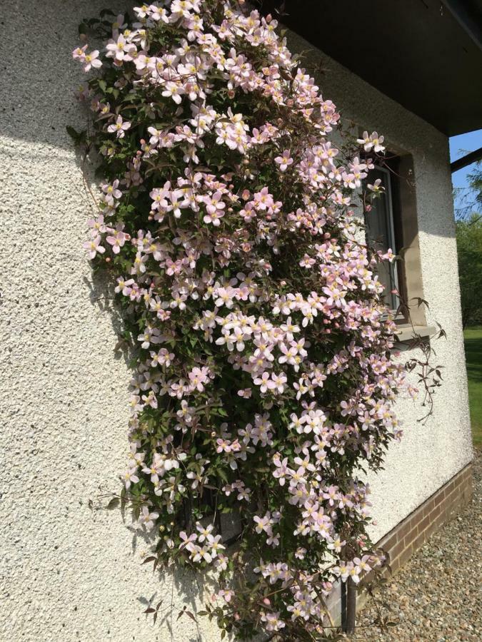 Heronlea Cottage Dunoon Exterior photo